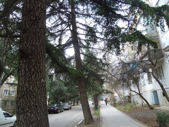 улица_50_лет_Октября.jpg улица_50_лет_Октября.jpg