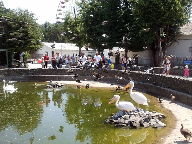 Киевский_район_Симферополь.jpg Киевский_район_Симферополь.jpg